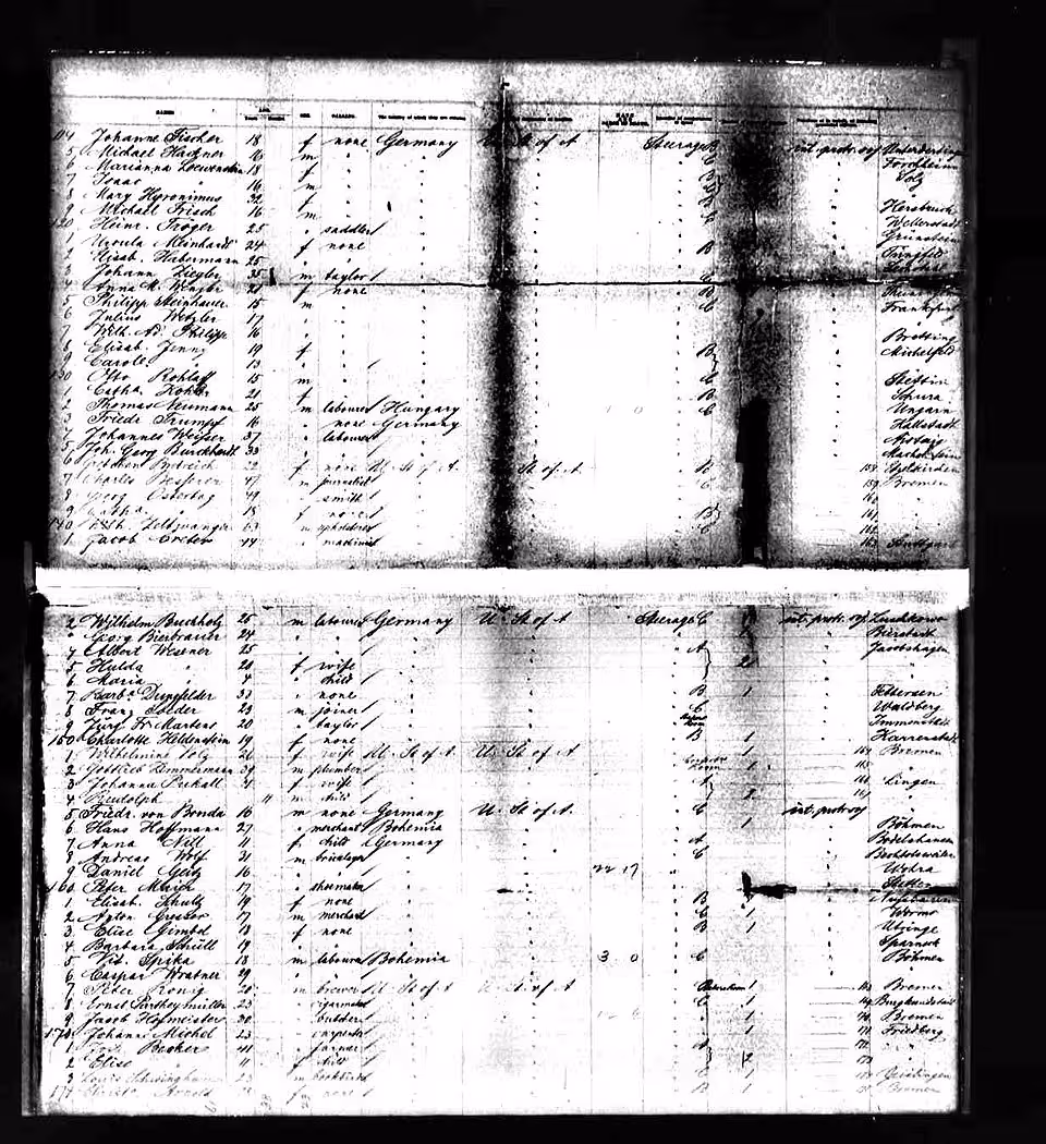 Old official immigration paperwork